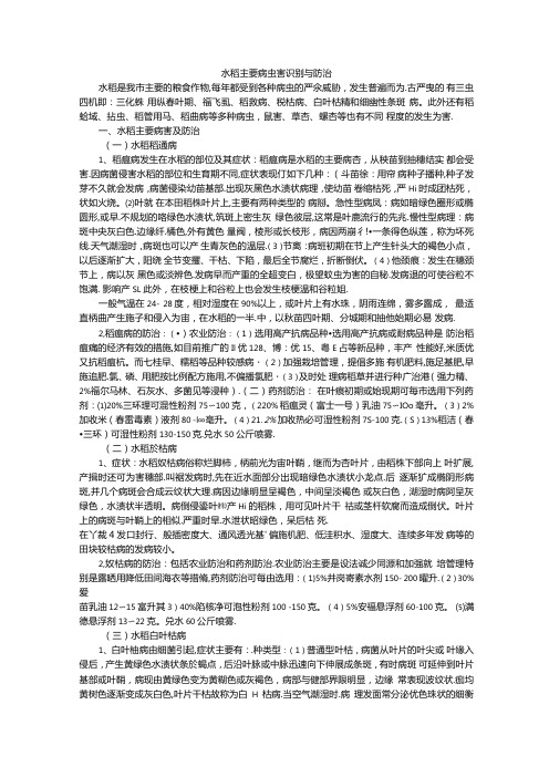 水稻主要病虫害识别与防治.docx