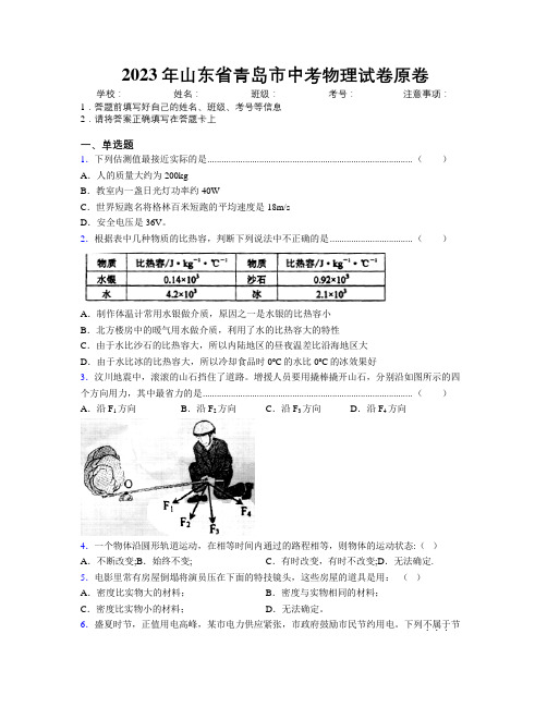 2023年山东省青岛市中考物理试卷原卷及解析