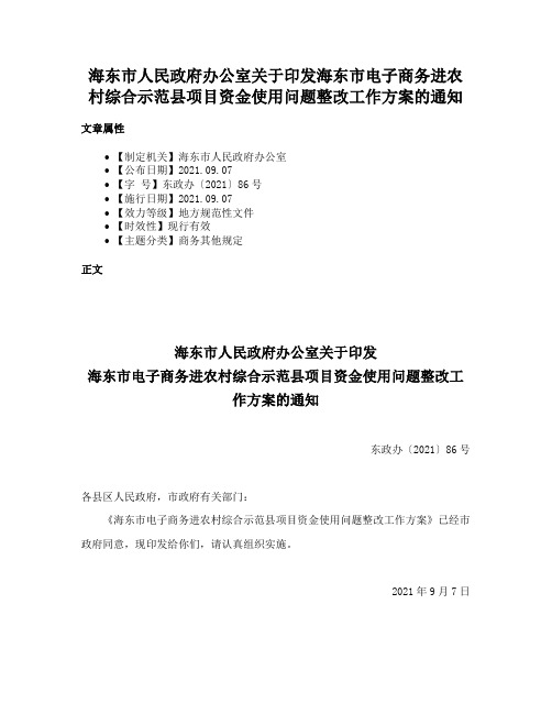 海东市人民政府办公室关于印发海东市电子商务进农村综合示范县项目资金使用问题整改工作方案的通知