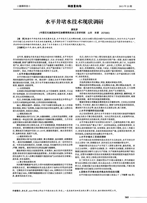 水平井堵水技术现状调研