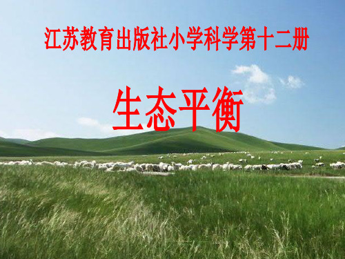 六年级下册科学课件-4.4 生态平衡(16)-苏教版