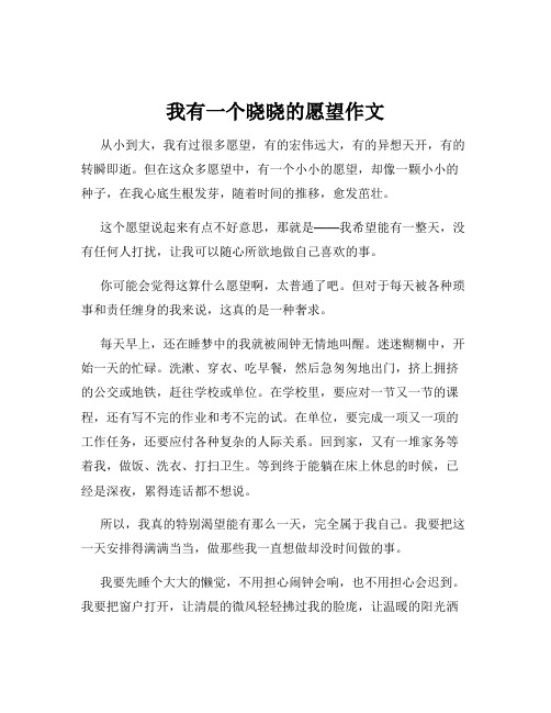 我有一个晓晓的愿望作文