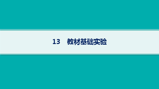 2024届高考二轮复习生物课件(新高考新教材)教材基础实验