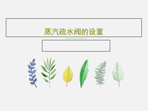 蒸汽疏水阀的设置共20页文档