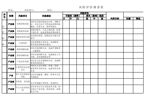 风险评估调查表 (2)