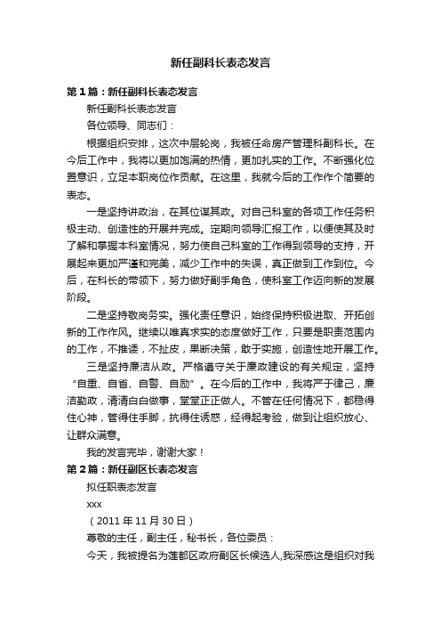 新任副科长表态发言