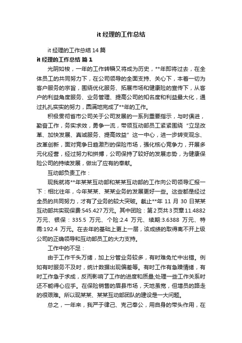 it经理的工作总结14篇