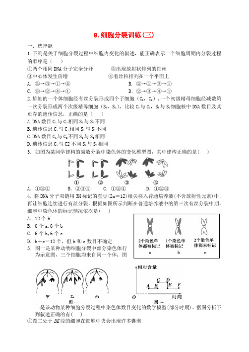 山西省忻州市第一中学高三生物第二轮复习 专题三 细胞