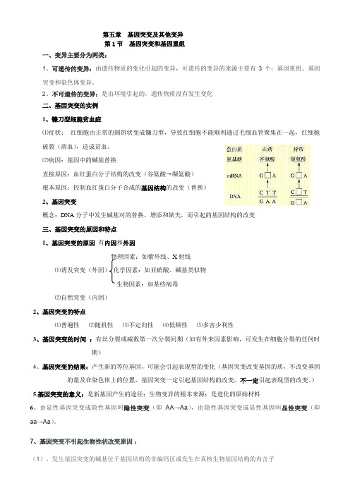 笔记       基因突变及基因重组