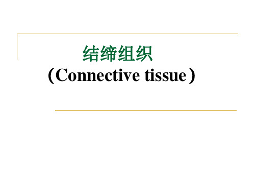 软骨和骨
