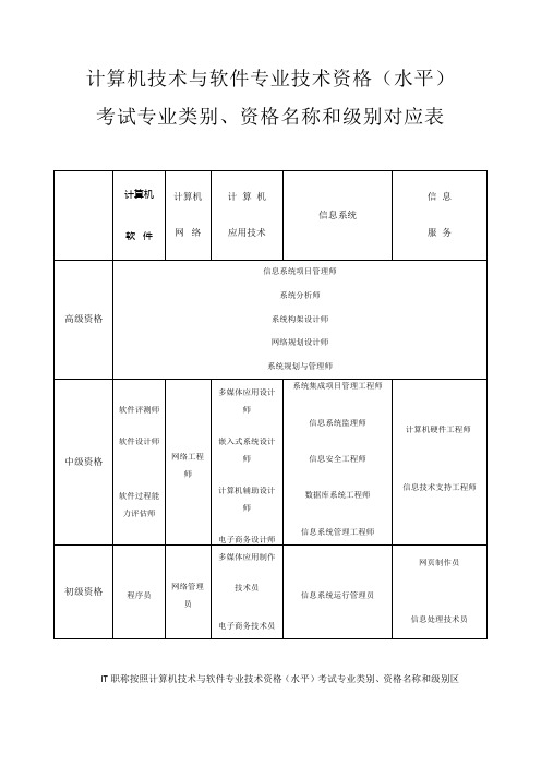 国家IT职称大全