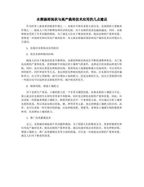 水稻栽培现状与高产栽培技术应用的几点建议