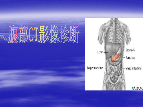 临床执业(助理)医师实践技能考试CT诊断学部份PPT课件