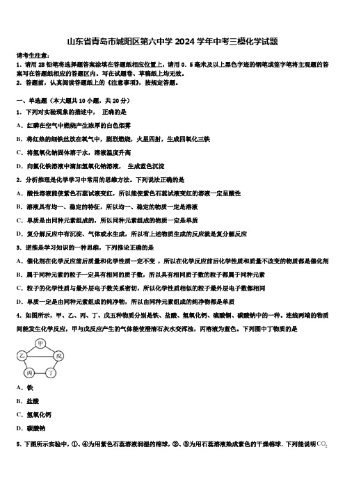 山东省青岛市城阳区第六中学2024届中考三模化学试题含解析