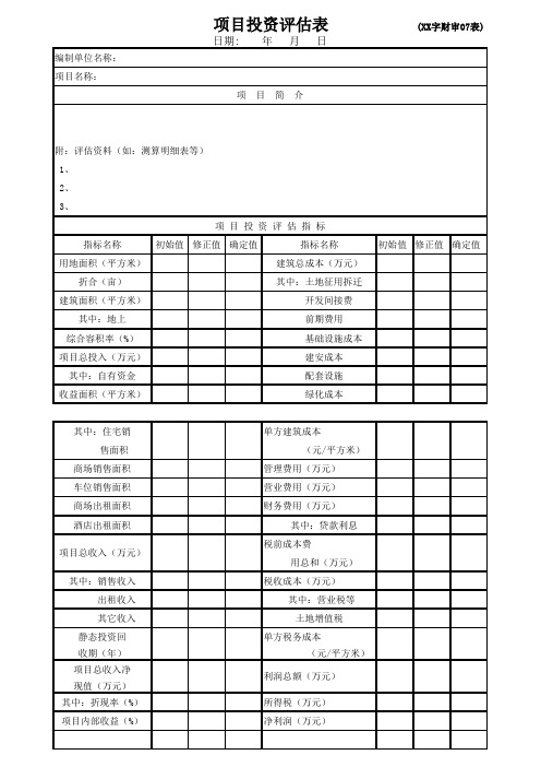 项目投资评估表