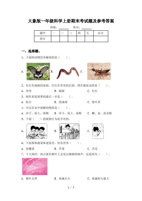 大象版一年级科学上册期末考试题及参考答案