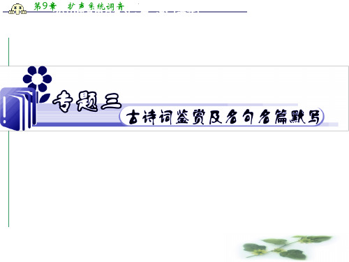 江苏省高考语文二轮总复习专题导练课件：专题3  古诗词鉴赏及名句名篇默写