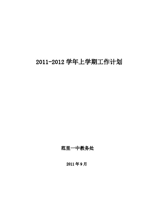 2010-2011学年下期教学工作计划