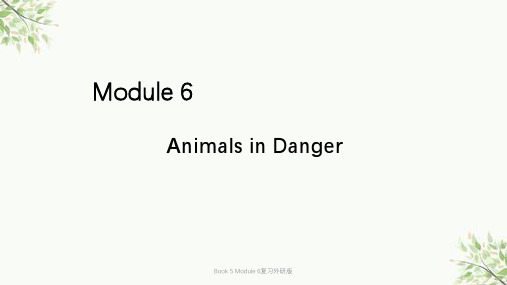 Book 5 Module 6复习外研版课件