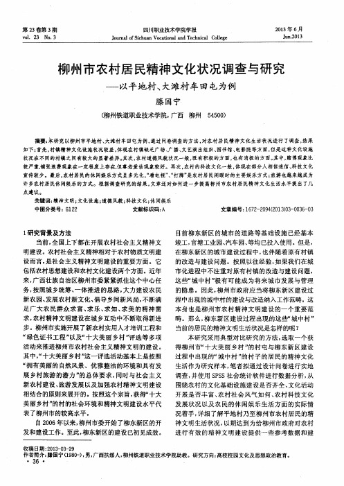 柳州市农村居民精神文化状况调查与研究——以平地村、大滩村车田屯为例