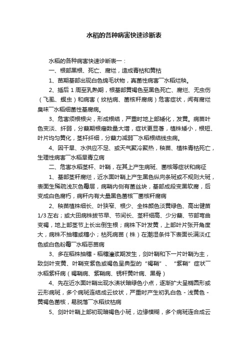 水稻的各种病害快速诊断表