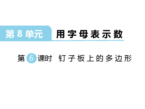第6课时钉子板上的多边形完整版PPT课件
