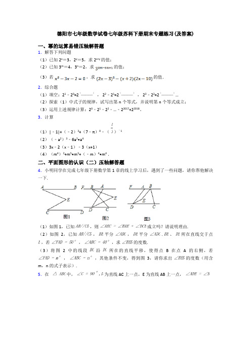 德阳市七年级数学试卷七年级苏科下册期末专题练习(及答案)