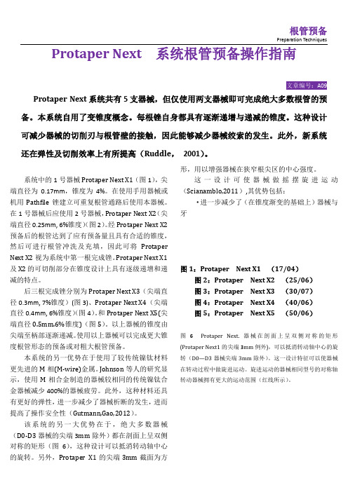 Protaper---Next--系统根管预备操作指南3