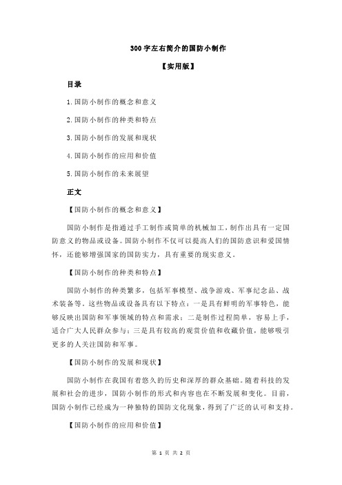 300字左右简介的国防小制作