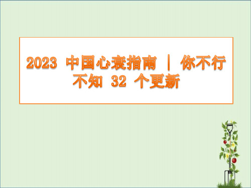 2018-中国心衰指南你不可不知-32-个更新