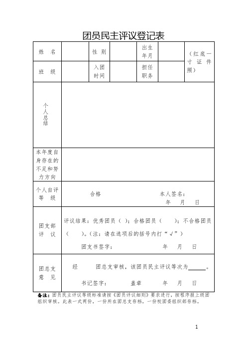 团员民主评议登记表