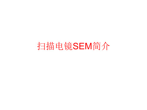 sem扫描电镜