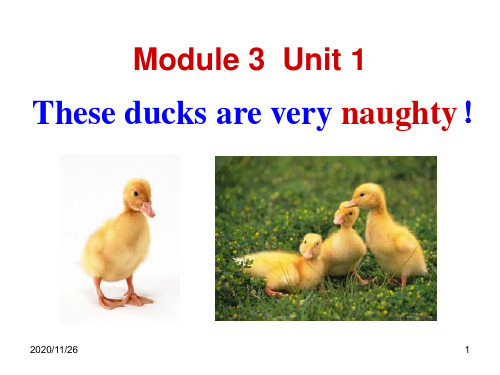 外研版三年级上册英语《These ducks are very naughty!》PPT优质教学课件