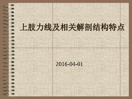 上肢力线与相关解剖结构特点