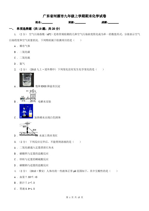 广东省河源市九年级上学期期末化学试卷