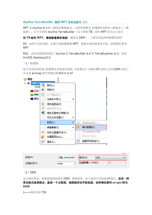 skyline TerraBuilder 制作MPT方法与技巧