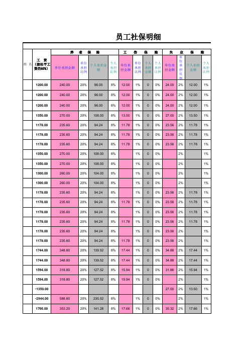 五险缴费明细表