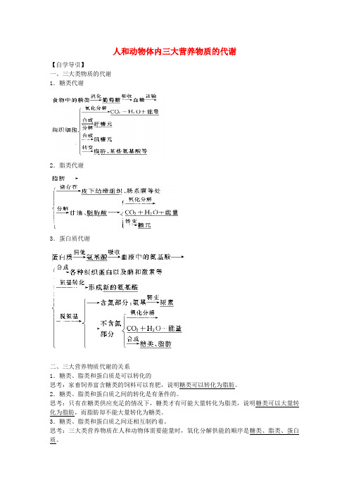 高三生物二轮复习 人和动物体内三大营养物质的代谢教案2 人教版