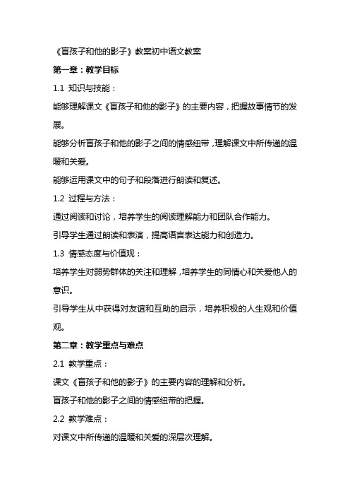 《盲孩子和他的影子》教案初中语文教案