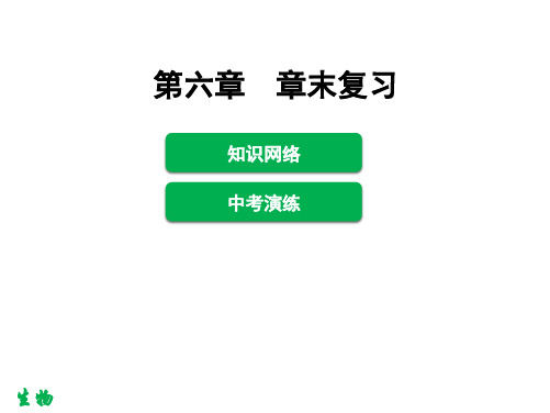 新人教版七年级下册生物课件 第六章人体生命活动的调节章末复习课件