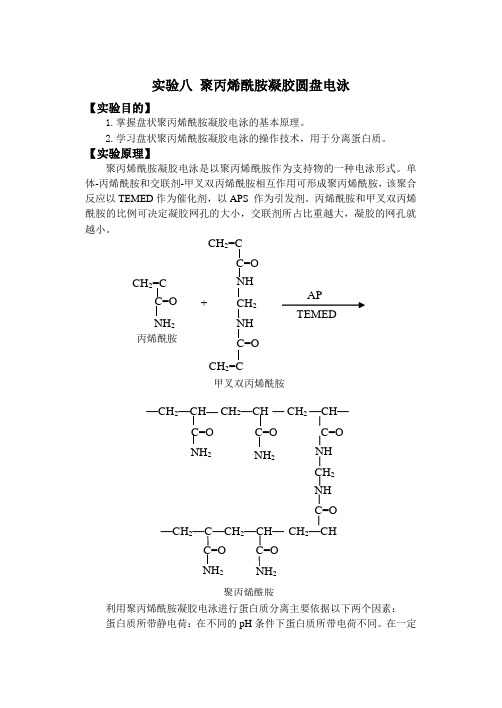 实验八聚丙烯酰胺凝胶圆盘电泳