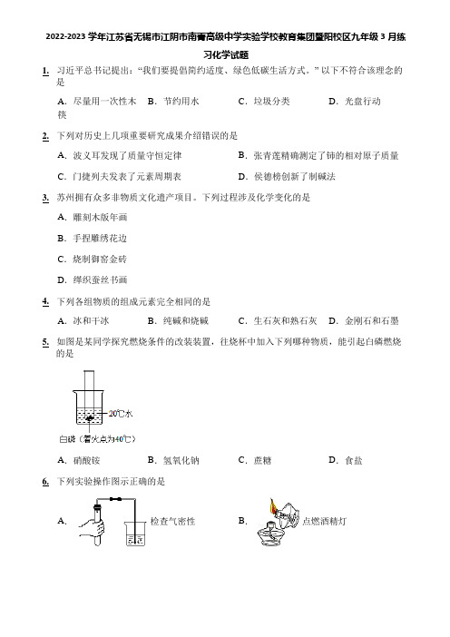 2022-2023学年江苏省无锡市江阴市南菁高级中学实验学校教育集团暨阳校区九年级3月练习化学试题