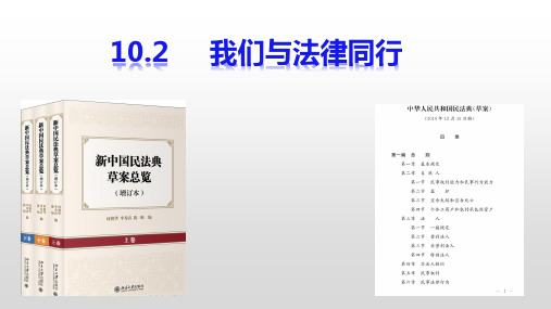 [人教版]道德与法治七年级下册 10.2 我们与法律同行 课件(共21张)