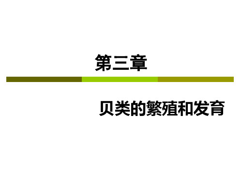 3贝类的繁殖和发育1