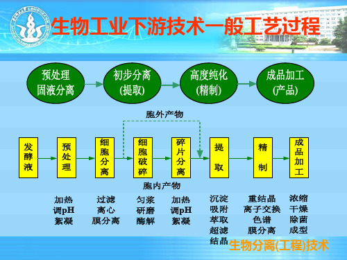 4生物分离工程技术第四张细胞破碎技术