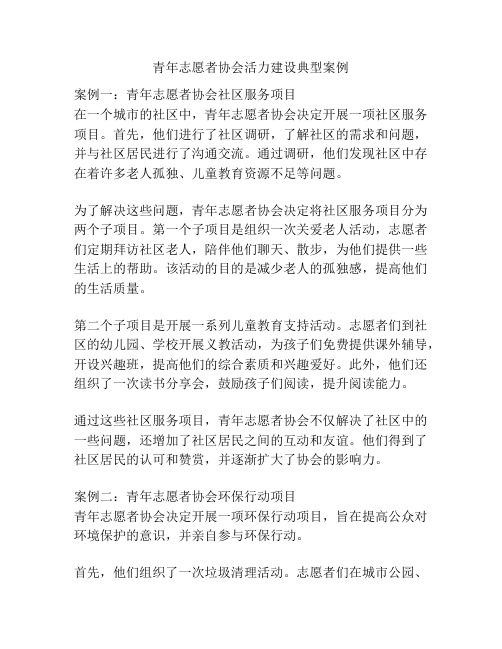 青年志愿者协会活力建设典型案例