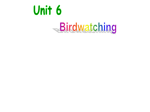 牛津译林版八年级英语上册：unit6birdwatchingintegrated