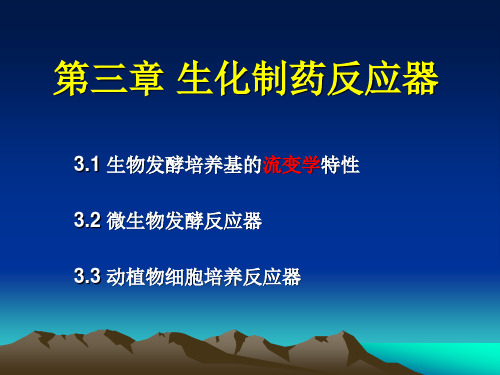 第三章 生化制药反应器总结