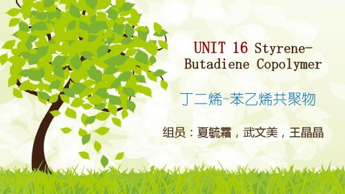 16单元丁苯橡胶.ppt