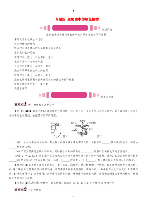 中考命题研究怀化专版2017年中考生物专题突破专题四生物圈中的绿色植物